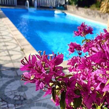 Les Bichettes Bed & Breakfast Mortagne-sur-Sevre Luaran gambar