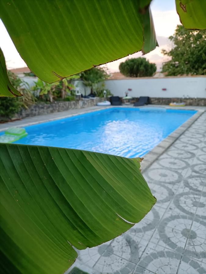 Les Bichettes Bed & Breakfast Mortagne-sur-Sevre Luaran gambar