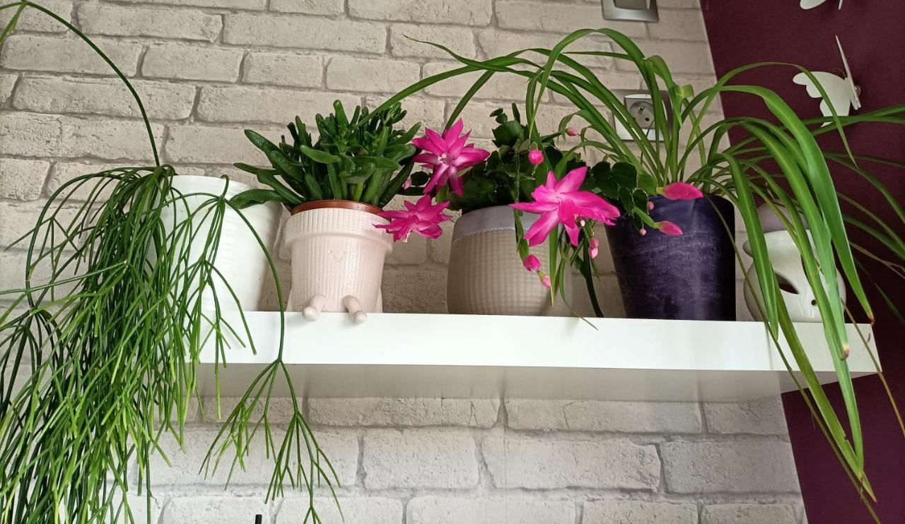 Les Bichettes Bed & Breakfast Mortagne-sur-Sevre Luaran gambar