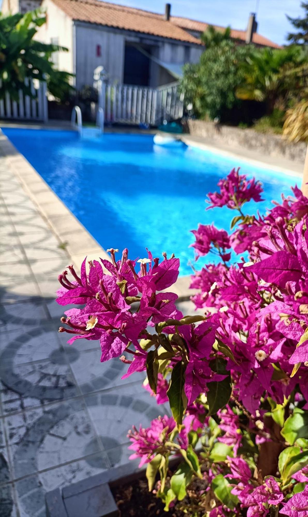Les Bichettes Bed & Breakfast Mortagne-sur-Sevre Luaran gambar